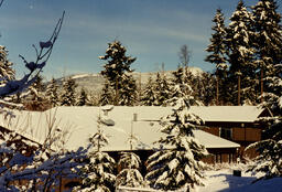 Snow on buildings