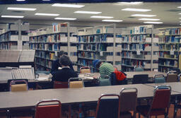 Studying in the library