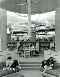 Library rotunda and tree
