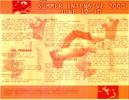 EDAM Summer Intensive