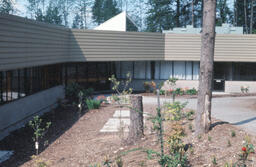 Library landscaping