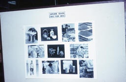 Capilano College First Year Arts