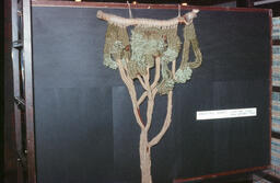 Art Display