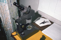 Microscope