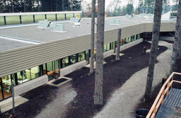 Path between B (Library) and A (Arbutus) buildings, with trees