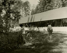 Clearing Brush