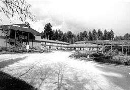 Site for the new Cedar building