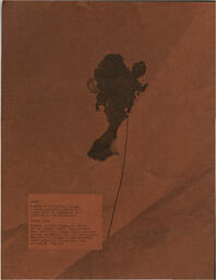 2304499-0008.pdf-3