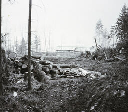 Lynnmour construction site