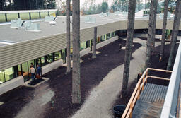 Path between B (Library) and A (Arbutus) buildings, with trees