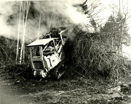 Bulldozing Trees
