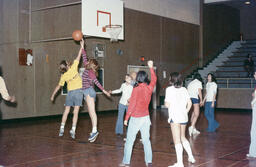 Basketball game