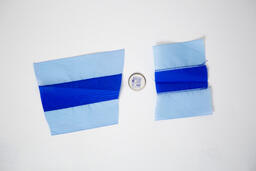 Capilano College ribbon and button
