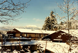 Snowy rooftops