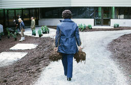 Landscaping at new campus