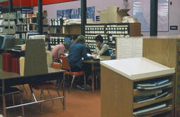 Studying in the library