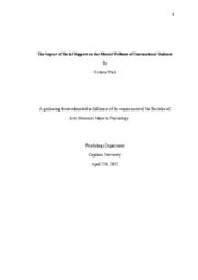 The impact of social support on the mental wellness of international students